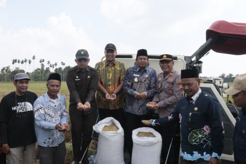 Bupati Inhu, Ade Agus panen raya di Kuala Cenaku (foto/ist) 